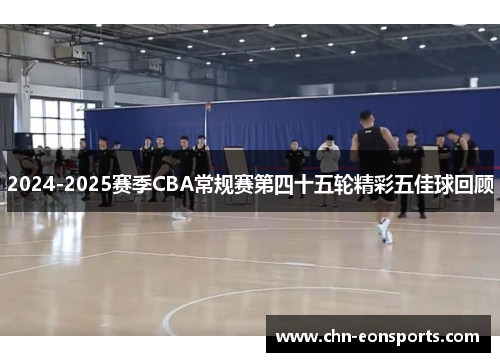 2024-2025赛季CBA常规赛第四十五轮精彩五佳球回顾