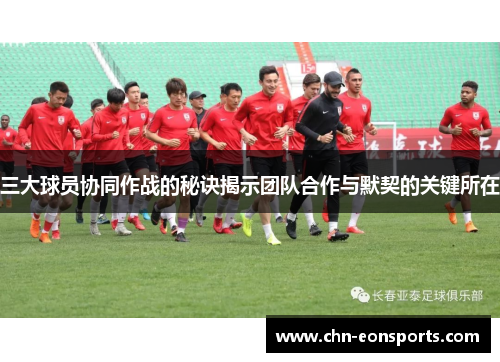 三大球员协同作战的秘诀揭示团队合作与默契的关键所在