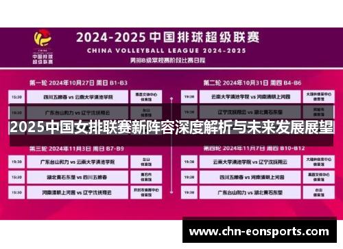 2025中国女排联赛新阵容深度解析与未来发展展望
