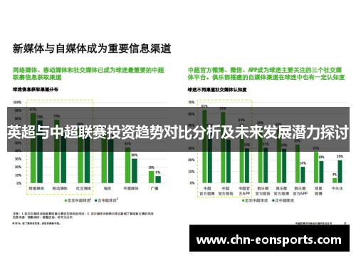 英超与中超联赛投资趋势对比分析及未来发展潜力探讨